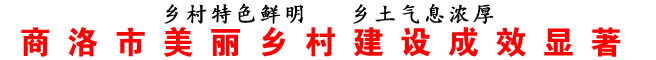 商洛市美丽乡村建设成效显著