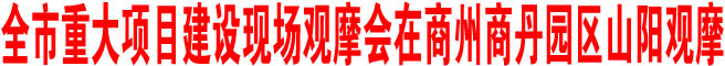 全市重大项目建设现场观摩会在商州商丹园区山阳观摩