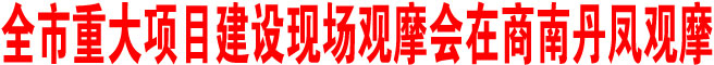 全市重大项目建设现场观摩会在商南丹凤观摩
