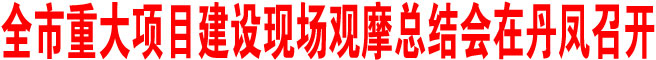 全市重大项目建设现场观摩总结会在丹凤召开