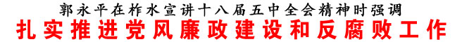 扎实推进党风廉政建设和反腐败工作