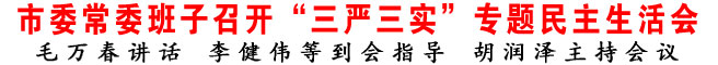 商洛市委常委班子召开“三严三实”专题民主生活会