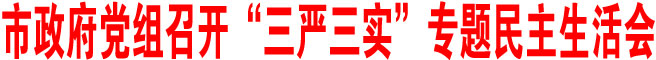 商洛市政府党组召开“三严三实”专题民主生活会