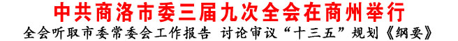 中共商洛市委三届九次全会在商州举行