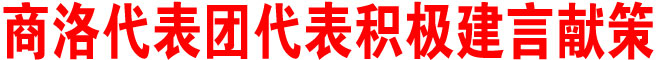 商洛代表团代表积极建言献策