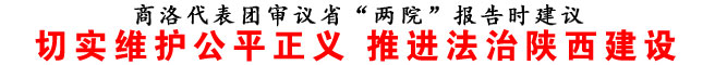 切实维护公平正义 推进法治陕西建设