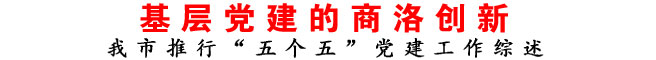 基层党建的商洛创新