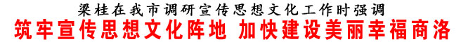 筑牢宣传思想文化阵地 加快建设美丽幸福商洛