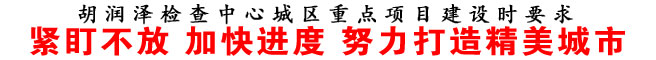 紧盯不放 加快进度 努力打造精美城市