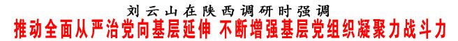 推动全面从严治党向基层延伸 不断增强基层党组织凝聚力战斗力