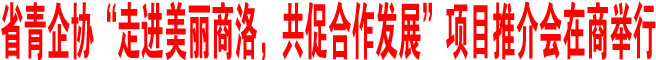 省青企协“走进美丽商洛，共促合作发展”项目推介会在商举行