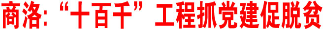 商洛：“十百千”工程抓党建促脱贫