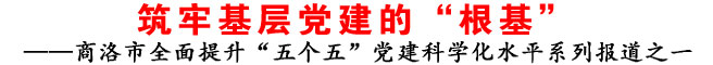 筑牢基层党建的“根基”