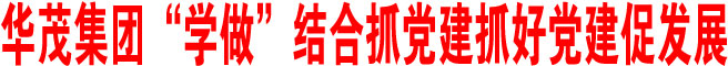华茂集团“学做”结合抓党建抓好党建促发展