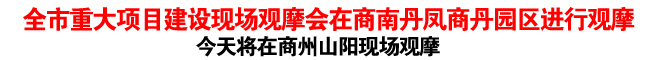 全市重大项目建设现场观摩会在商南丹凤商丹园区进行观摩