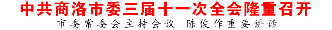 中共商洛市委三届十一次全会隆重召开