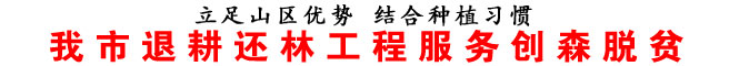 我市退耕还林工程服务创森脱贫