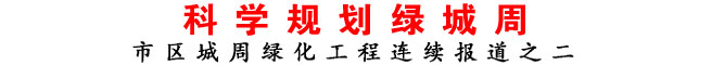 科学规划绿城周