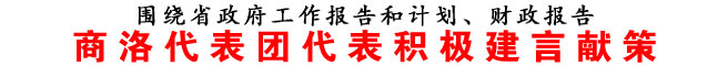 商洛代表团代表积极建言献策