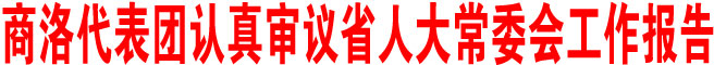 商洛代表团认真审议省人大常委会工作报告