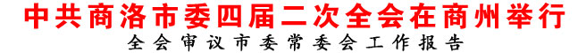 中共商洛市委四届二次全会在商州举行