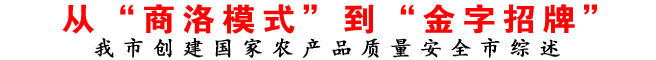 从“商洛模式”到“金字招牌”