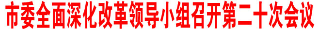 商洛市委全面深化改革领导小组召开第二十次会议