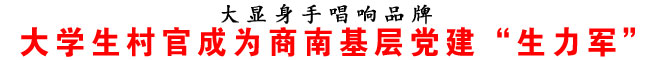 大学生村官成为商南基层党建“生力军”