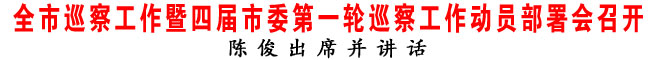 全市巡察工作暨四届市委第一轮巡察工作动员部署会召开