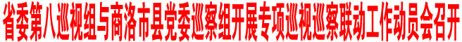 省委第八巡视组与商洛市县党委巡察组开展专项巡视巡察联动工作动员会召开