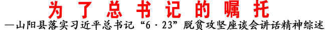 —山阳县落实习近平总书记“6·23”脱贫攻坚座谈会讲话精神综述