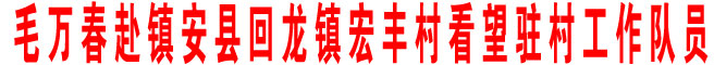 毛万春赴镇安县回龙镇宏丰村看望驻村工作队员