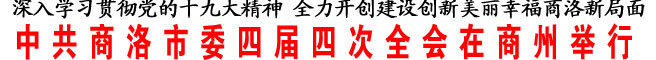 中共商洛市委四届四次全会在商州举行