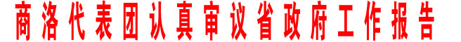 商洛代表团认真审议省政府工作报告