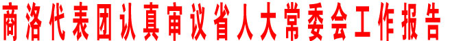 商洛代表团认真审议省人大常委会工作报告