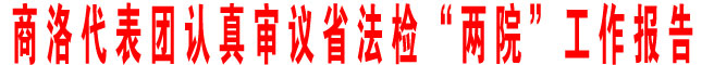 商洛代表团认真审议省法检“两院”工作报告