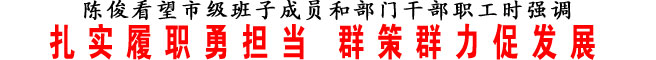 扎实履职勇担当 群策群力促发展