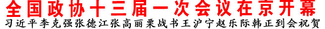 全国政协十三届一次会议在京开幕