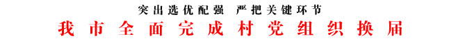 我市全面完成村党组织换届
