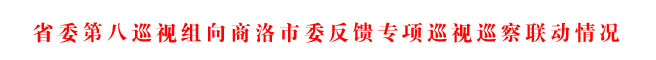 省委第八巡视组向商洛市委反馈专项巡视巡察联动情况