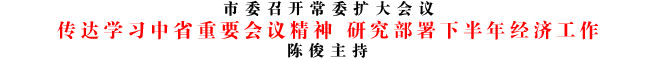 传达学习中省重要会议精神 研究部署下半年经济工作