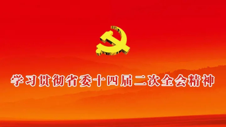 学习贯彻省委十四届二次全会精神