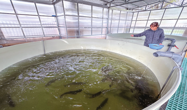 七星村的美丽蝶变