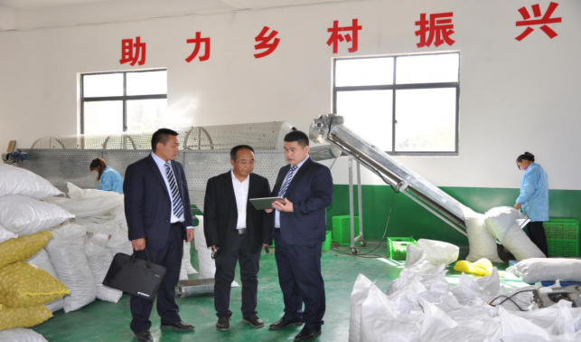 ‌邮储银行商洛市分行：金融活水浇灌特色产业 谱写乡村振兴新篇章