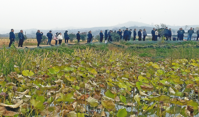 农技赋能 乡村振兴