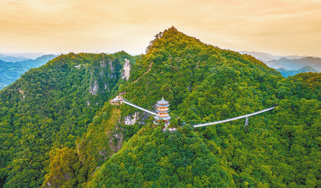 秦岭腹地护青绿