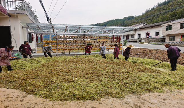 镇安一家庭农场“酿”出绿色致富路