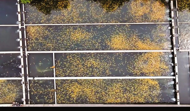 活水润产业 农旅促增收