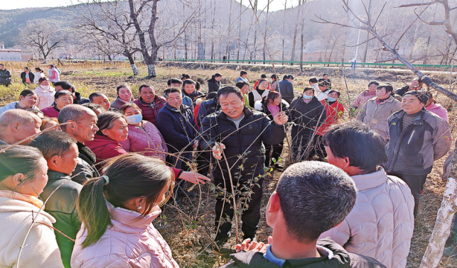 送技下乡促增收