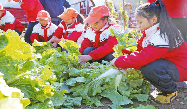 从课堂到田间 劳动教育“接地气”